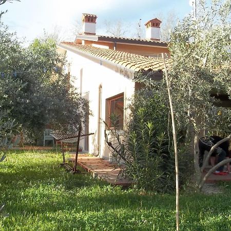 Villa Ambrosia Múggia Dış mekan fotoğraf