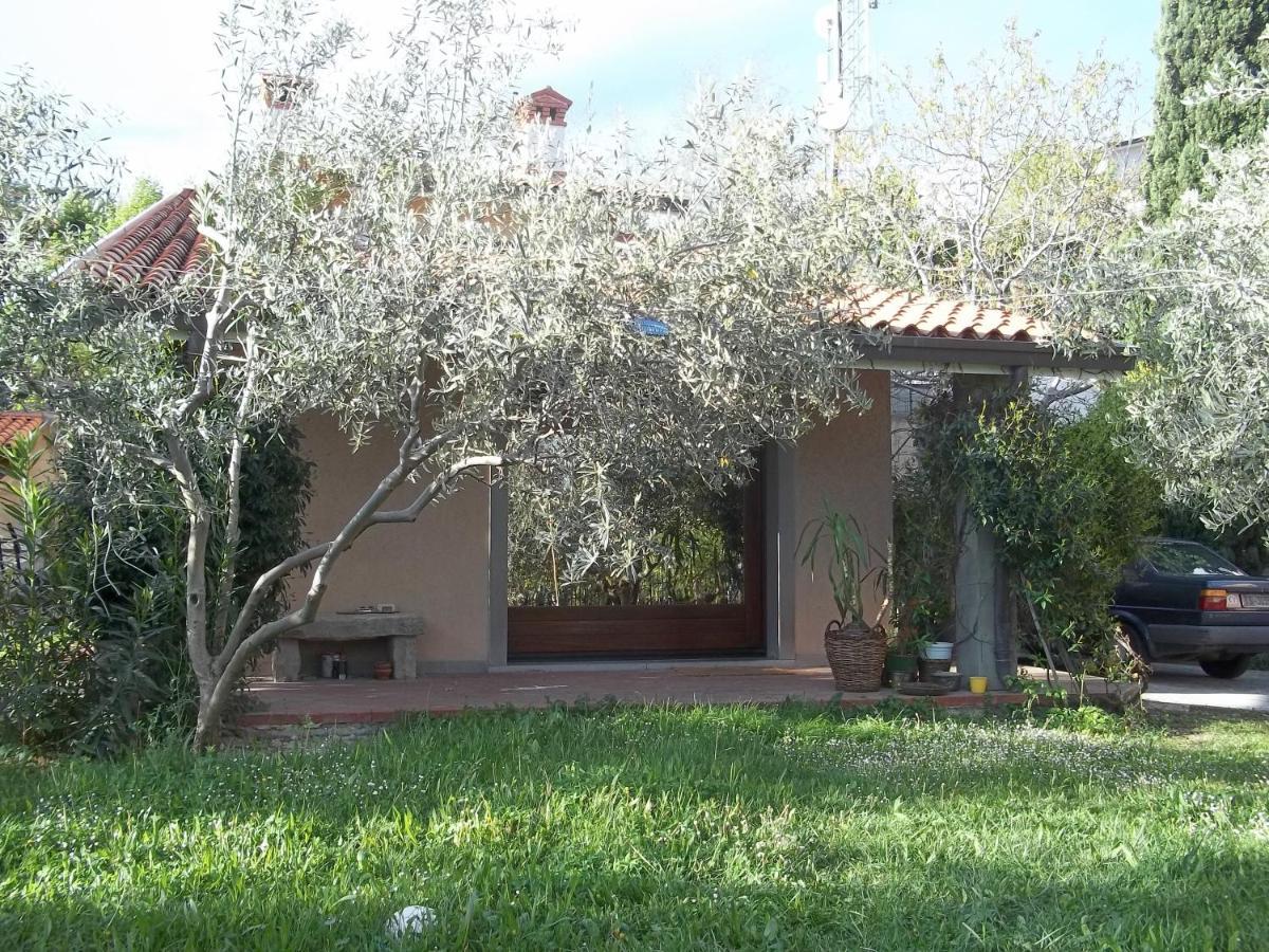 Villa Ambrosia Múggia Dış mekan fotoğraf